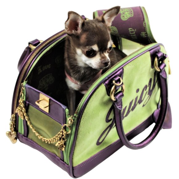 Juicy Couture Other - Juicy Couture Green & Metallic Purple Small Y2K Pet Carrier